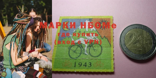 прущие грибы Каменка